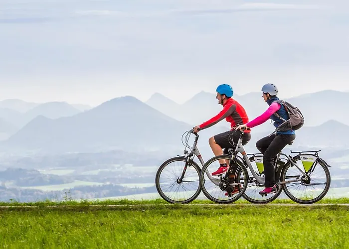 Pichl フッシュ・アン・デア・グロースグロックナーシュトラーセ